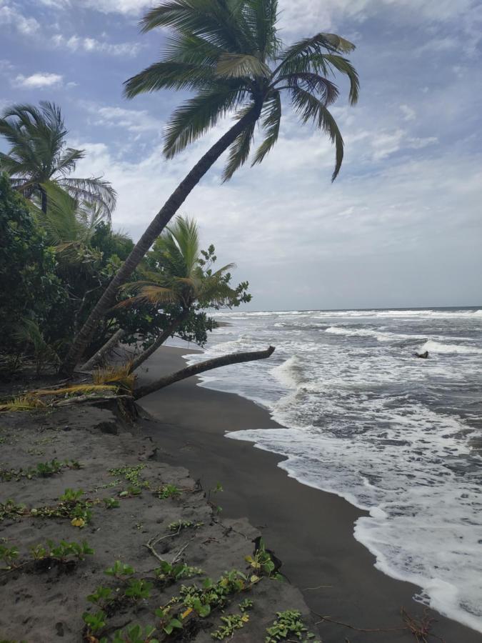 Budda Home Tortuguero Exterior photo